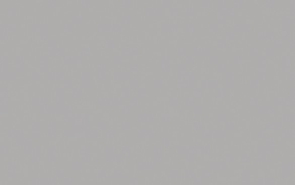 Silver Gray