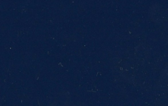 Marine Blue